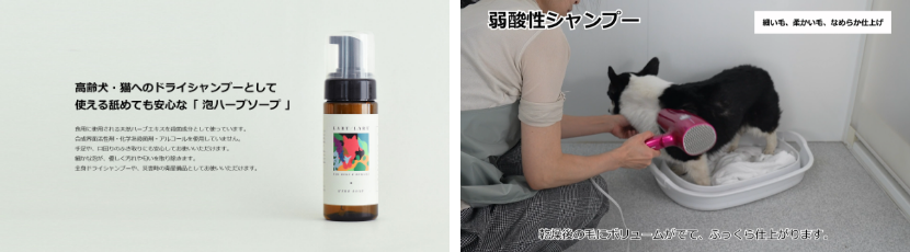 38b02860-eeac-4281-86df-0e09518bb7c1_img-blog-cure-01