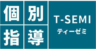 tsemi_logo